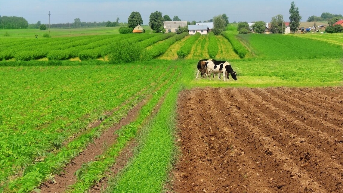 Terreno gravato da uso civico